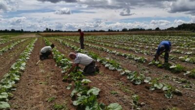 Formation : préserver sa santé à la ferme.