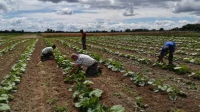 Formation : préserver sa santé à la ferme.